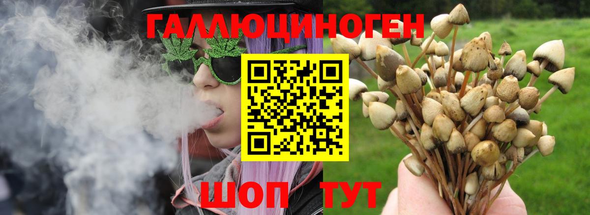 Галлюциногенные грибы прущие грибы  Вход с VPN  Оренбург 